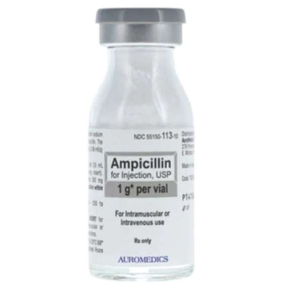 ampicillin