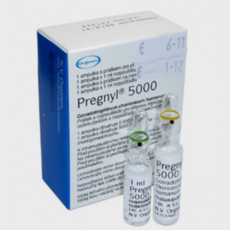 pregnyl